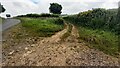 Farmland track from bend in road between Torpenhow and Whitrigg in CA7 1JF