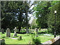 Churchyard - St Thomas of Canterbury in RG22 5FD