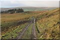 Moorland Track descending to New Hall in BL0 0RQ