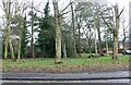 Wooded area on Ongar Road, Writtle in CM1 3NZ
