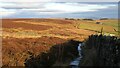Pennine Way slab footpath in BD20 8HX