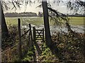 Stile near Shobdon Hill Wood in HR6 9PA