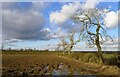 A muddy field south of Countesthorpe in LE8 5UZ
