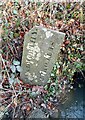Boundary Stone in EX22 7TY