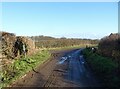 A muddy Newton Lane towards Newton Mulgrave in TS13 5HZ
