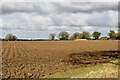 Flordon: Ploughed field in NR15 1RT