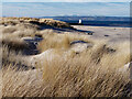 Dunes on Nairn's East Beach in IV12 5BY