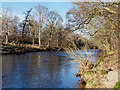 River Nairn near Crook in IV12 5RY