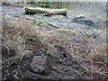 Inclosure Stone, Nailbridge, Royal Forest of Dean in GL17 9DF