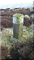Old Boundary Marker on Castleton Rigg in YO21 2NL