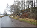 Road beside the Loch of Lintrathan in DD8 5JJ