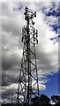 Telecomms mast at Eden Flatt in CA16 6PE