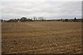 Farmland near Gaston Green in CM22 7QZ