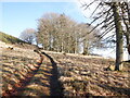 Tracks on Meams Hill in DD8 5ET