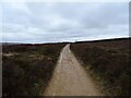 Bridleway, Hutton Moor in TS14 8ES