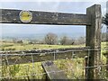 Footpath and stile in SA32 7TR