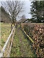 Public footpath near Gwernogle in Llanfihangel Rhos-y-Corn Community
