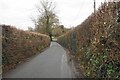 High hedgerows in Little Hallingbury