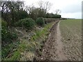 Field edge footpath above a flooded green lane in TF6 5HE