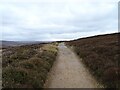 Bridleway over Hutton Moor in TS14 8ES