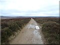National Cycle Route 168 over moorland towards Kildale Moor in TS14 8ES
