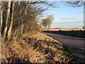 Minor road near Kirriemuir in DD8 4LU