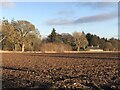 Ploughed field, Mains of Ogil in DD8 3SQ