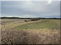 Flat, arable land near New Hartley - From a passing train in NE25 0FN