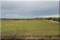 Arable land near New Hartley - From a passing train in NE26 4PX