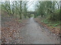 Out-of-use bridge, Derwent Walk, Shotley Bridge in DH8 0BL