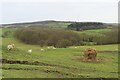 Farmland at Lower Buckenhill in HR1 4PX