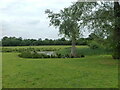 Pond near east end of Elstree Aerodrome in Letchmore Heath