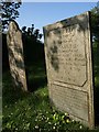 Gravestones, Dunterton in PL19 0QN