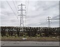 Electricity Pylons near Bury New Road in M26 4FP