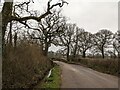 Bridge over stream near Wheatcroft Farm in EX15 1GY