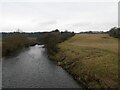 The River Wear in DH3 4EN