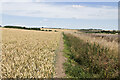 Bridleway next to a field of wheat in SN8 4EZ