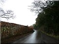 The road from Wych End Farm to Pednor Vale Farm in HP5 2SZ