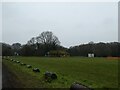 Cricket field, Cholesbury: mid February 2025 in HP23 6PD