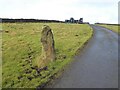 Monolith by access road to Harwes Farm in BB8 7EP
