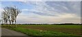 In the flat field, south of Sweetwater Barn in IP13 9NX