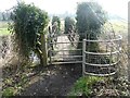Gate and footbridge on the footpath in TF10 8JY
