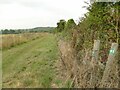 Path parallel to the railway line in Sibson-cum-Stibbington