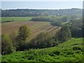 Countryside from Holloway Barton in EX6 7YA