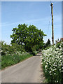 View north along Goose Lane in NR12 9QJ