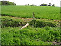 Route of the Stour Valley Walk across the fields in TN25 5PA