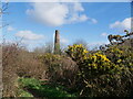 Lone Chimney and Gorse coming into bloom - Stamps Lane in TR15 3GH