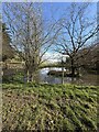 Small pool beside footpath west of Longden in SY5 8BT