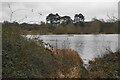 The lake in Hatfield Forest in CM22 6NB