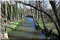 River Ray at Elborough Bridge in SN5 5DZ